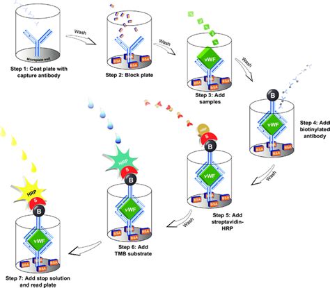 elisa kit method|elisa method procedure.